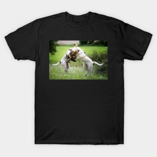 Wildflower play fight Spinoni T-Shirt